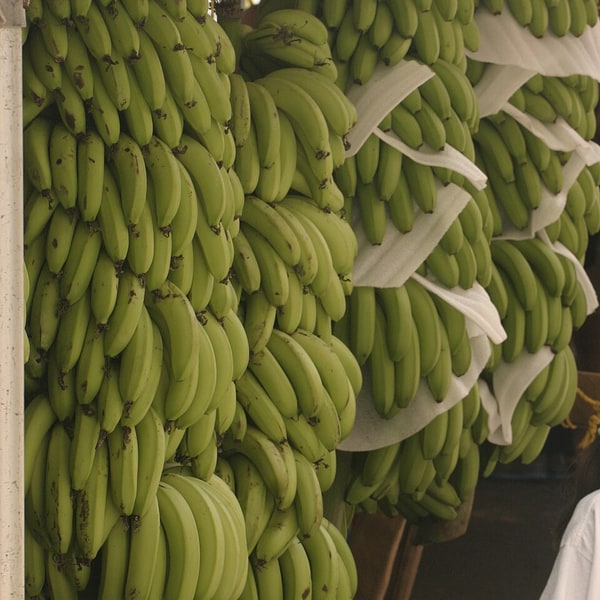 Banana Nendran